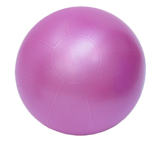 Exercise Ball with Burst Resistance for Core Strength and Active Sitting | TheraGear Pro Ball