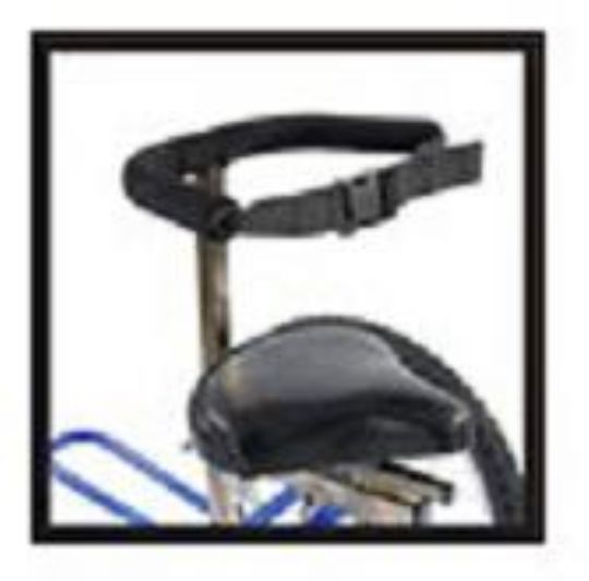 Adjustable Back and Trunk Support for Triad Special Needs Tricycles
