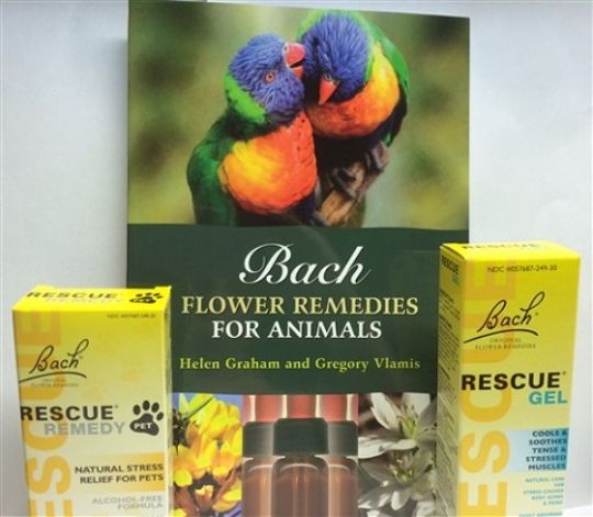 Bach Kit for Pet Lovers