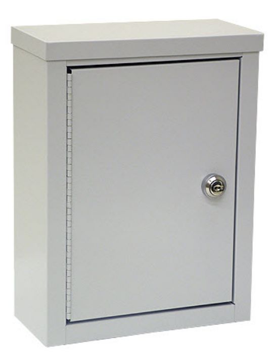 https://image.rehabmart.com/include-mt/img-resize.asp?output=webp&path=/imagesfromrd/MCK-291609%20Wall-Mounted%20Storage%20Cabinet_Medical%20Cabinets.jpg&newwidth=540&quality=80