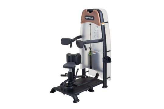 Status Rotary Torso Machine for Abdominal Muscle Training by SportsArt