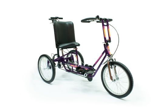 Adventurer Series Tricycle with optional removable headrest extension