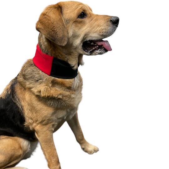 Cooling Collar for Dogs - CoolPup Wraps by Oro Sports