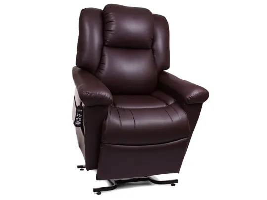 Power lift and clearance recline chair golden