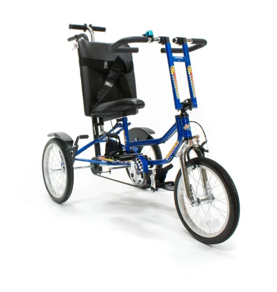 Tricycle bike for cheap special needs child