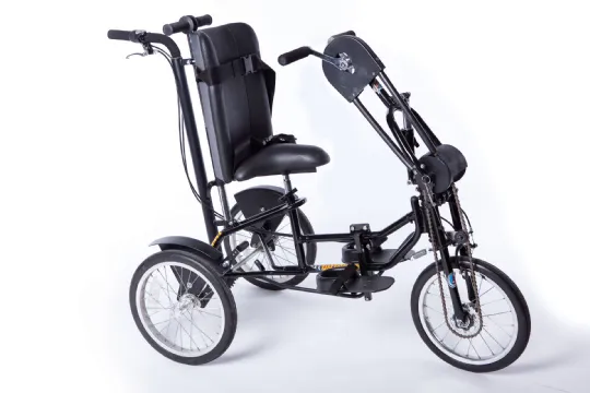 Electric tricycle with online child seat