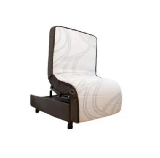 Stand Assist Bed For Elderly