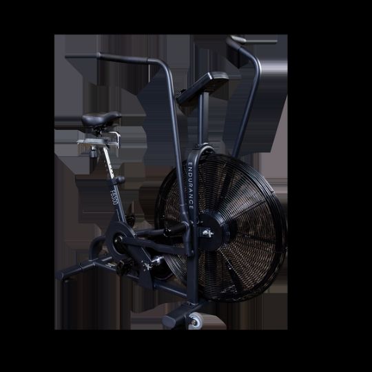 Endurance Fan Bike FB300B by Body Solid