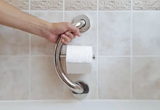 Grab Bar and Toilet Paper Holder - Plus Series from HealthCraft