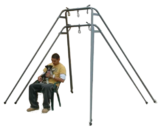 Backyard Swing Frame, TFH Canada Manufactured