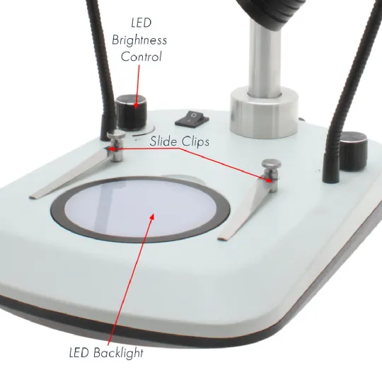 Microscope base with LED backlight, slide clips, and brightness control