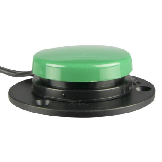 Small Single Mountable Switch in Green