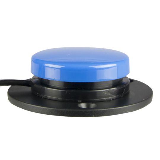 Small Single Mountable Switch in Blue