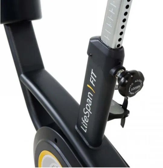 Bodymax b1 racer indoor cycle exercise bike discount review