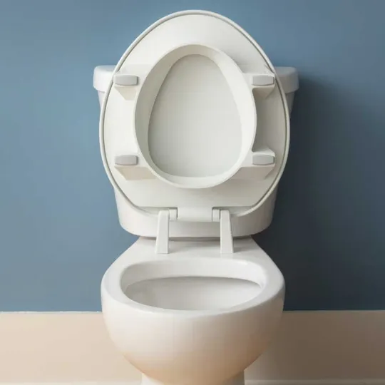 Clean Shield Elevated Toilet Seat by BEMIS (Support Arms optional)