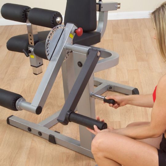 Leg Extension/Curl Machine: robust, stable, heavy-duty.