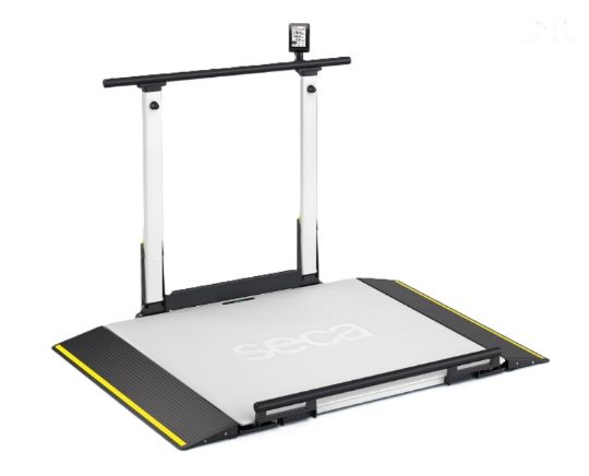 XLine Hold Scale - Ideal for post operation