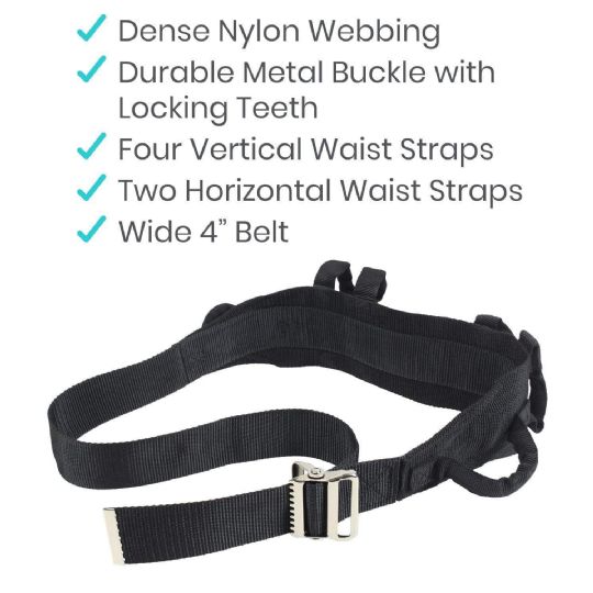 Dense nylon webbing, durable metal buckle, multiple straps, and a wide 4 in. belt