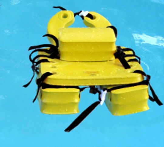 Dolphin Buoyancy Float System for Aquatic Therapy