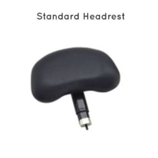 Pictured is the standard headrest 