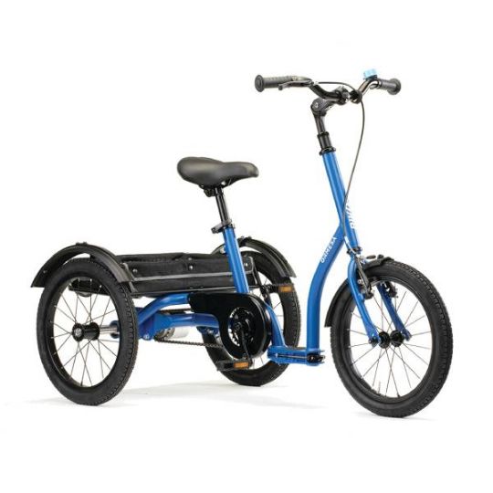 Biko Adaptive Trike in Blue
