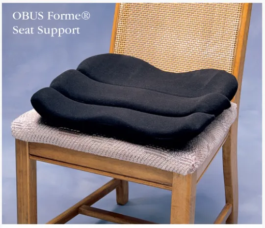 The ObusForme Lowback Backrest Support System