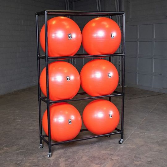Keep your exercise balls organized and in one place!