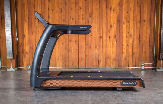 ECO-NATURAL Status Treadmill (T676) - Side View