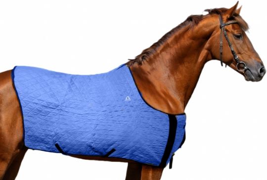 TechNiche® Evaporative Cooling Horse Leg Wraps 8550