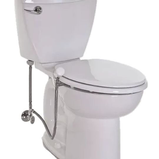 H1 Palm Button Manually Operated Home Bidet with closed lid