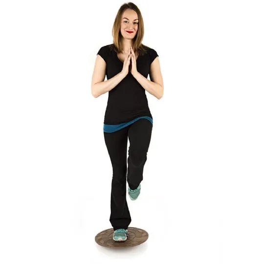 Fitterfirst Classic Balance Board FREE Shipping