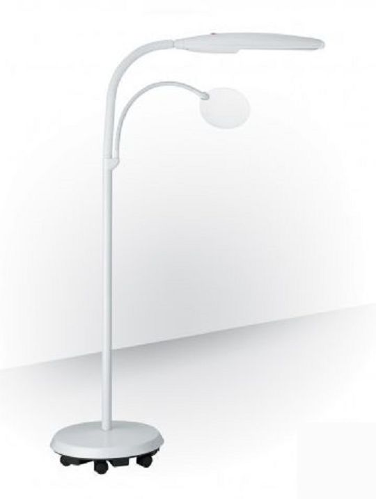 Daylight LED Swan Magnifying Crafting and Reading Floor Lamp