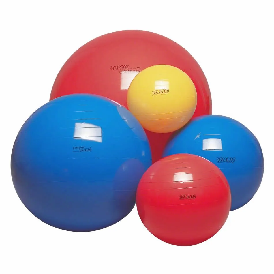 Therapy Balls Exercise Ball Yoga Ball Massage Ball