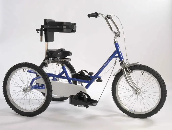 Buy Special Needs Tricycles Hand Cycles Recumbent Trikes