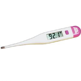 Deluxe Jumbo Display Thermometer, Set of 2