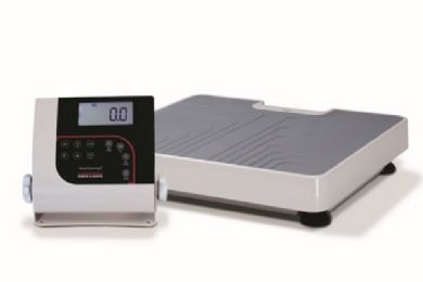 Rice Lake Weighing Systems Floor Scale