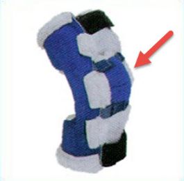 Knee Caps for Respond ROM Knee Corrective Orthosis Braces