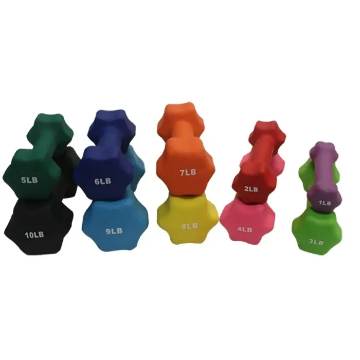 Beginner Dumbbell Workout Set of 10 Neoprene Dumbbells by PHS