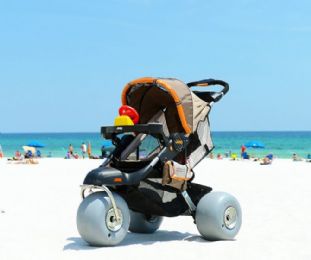 Baby Bug Beach and Jogging Stroller