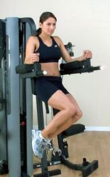 Optional Vertical Knee Raise Station for Body-Solid G9S Home Gym