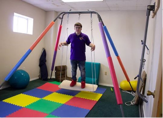 Glider Therapy Swings for Take-A-Swing Frames