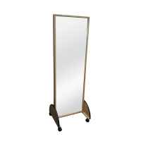 Portable Mirror With Rolling Swivel Casters and Double Sided Option by Pivotal Health Solutions