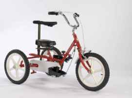 Triaid Terrier Special Needs Tricycle