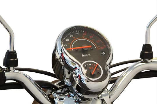 Detailed View of the Speedometer that Displays in Kilometers/Hour and Miles/Hour