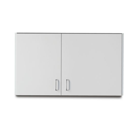 42 in. Long Cabinet with 2 Doors - Gray