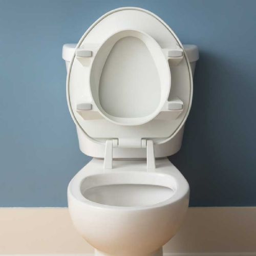 Clean Shield Elevated Toilet Seat by BEMIS is easy to clean