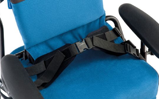 The Four-Point Pelvic Harness on the Everyday Activity Seat