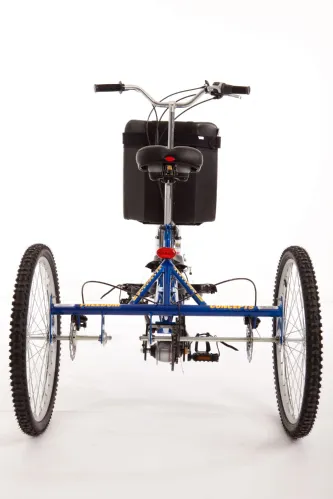 Freedom Excursion Tandem Tricycle