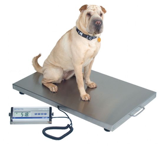 Digital Veterinary Scale has a weight limit of 330-pounds