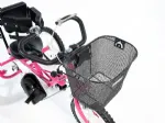 Folding Special Needs Tricycle for Adults - Tracker 24 by Triaid